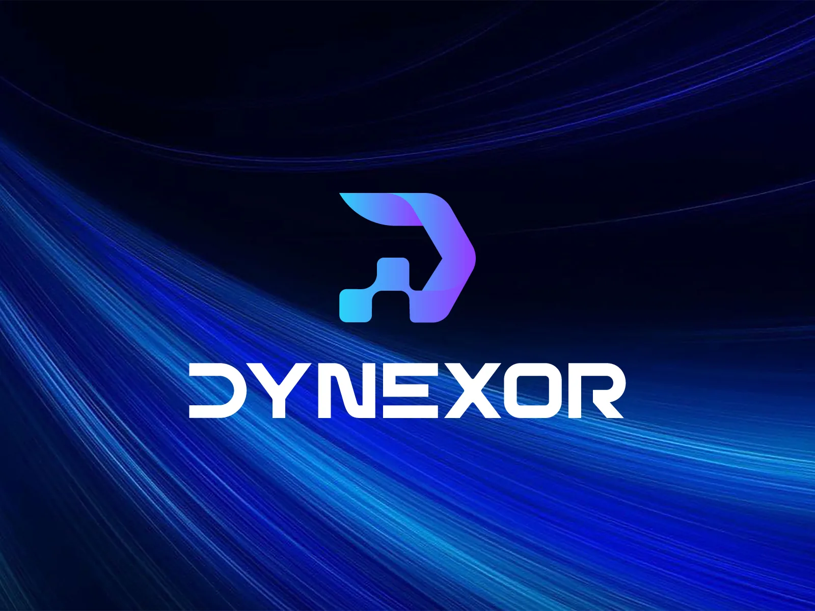 Dynexor brand identity — selected work 1