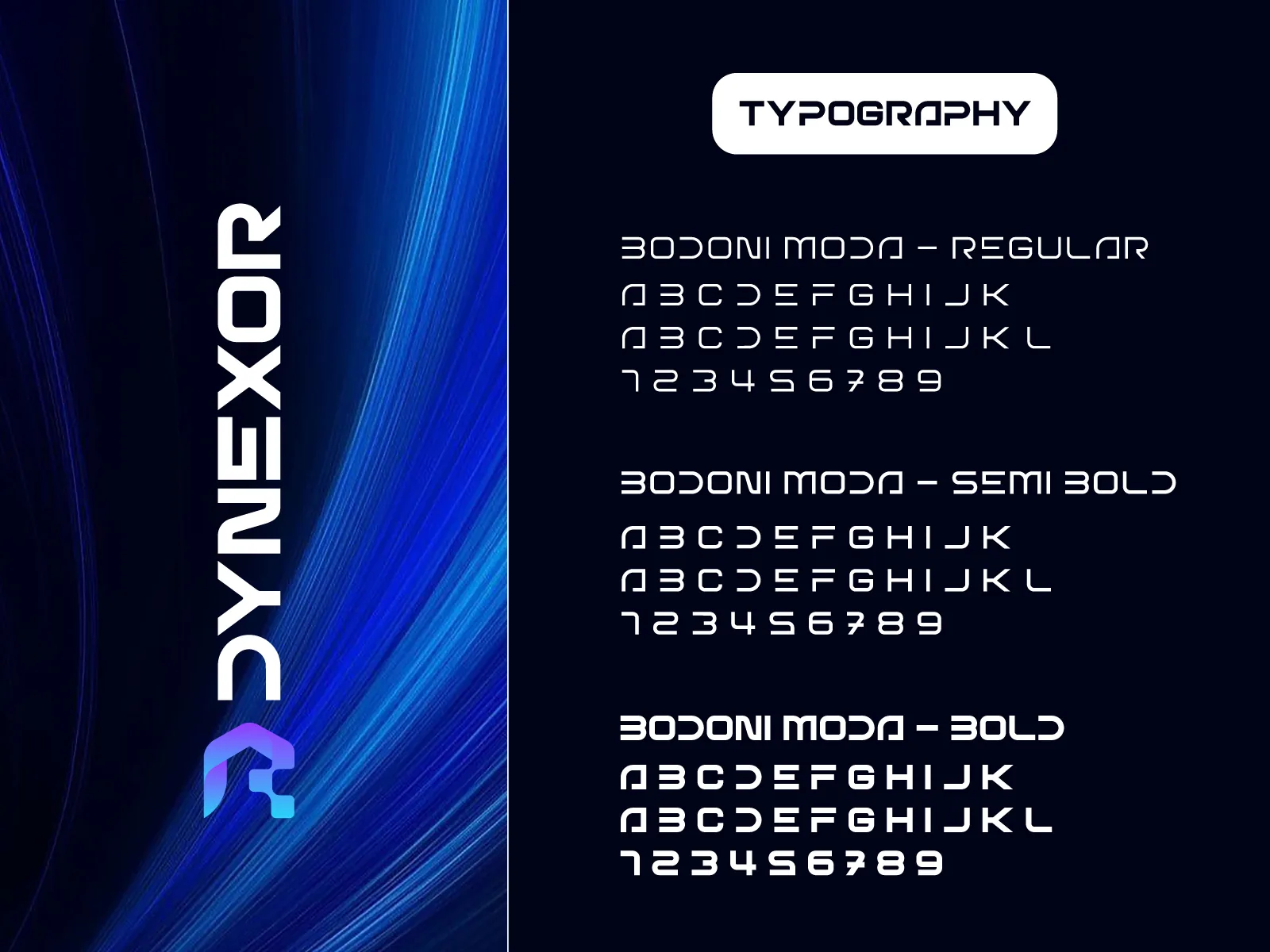 Dynexor brand identity — selected work 4